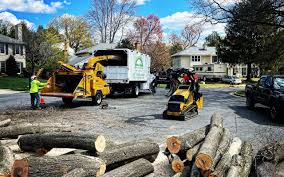 Best Lawn Grading and Leveling  in Thonotosassa, FL