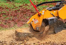 Best Lawn Drainage Solutions  in Thonotosassa, FL