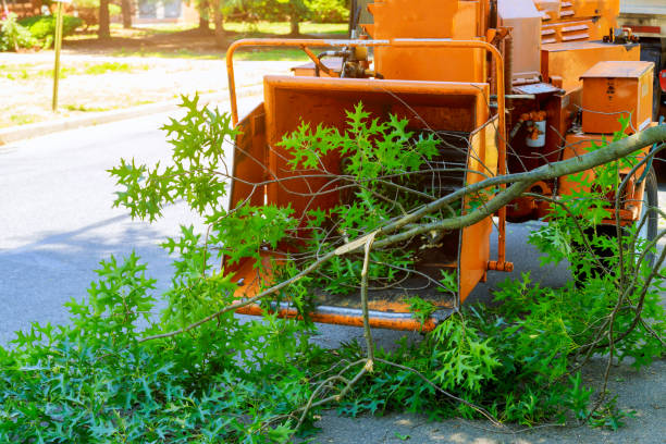 Soil Testing and Treatment in Thonotosassa, FL