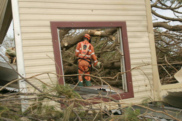 Best Firewood Processing and Delivery  in Thonotosassa, FL